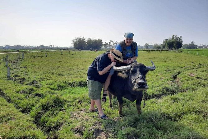 Village Experience Hoi an Tour & Hoi an Walking Tour With Night Market - Tour Pricing and Inclusions