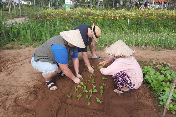 Village Experience Hoi an Tour & Hoi an Walking Tour With Night Market - Common Questions