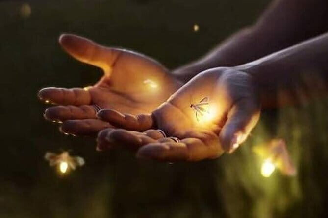 VIllage Firefly Night Tour - Ubud Bali - Good To Know