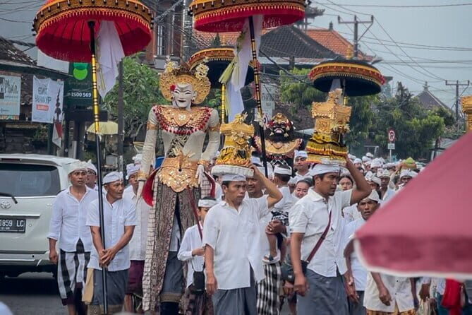 VIllage Firefly Night Tour - Ubud Bali - The Sum Up