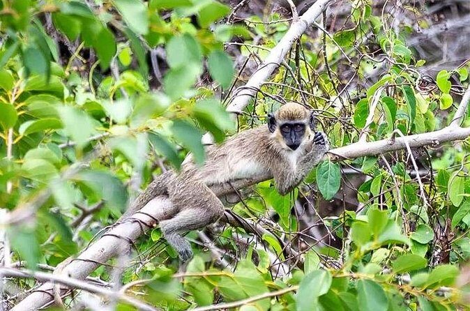 Village Food Tour - Who Will Love This Tour?