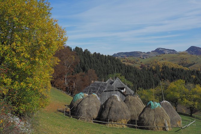 Village Life in Transylvanian Carpathian Mountains - 8 Days - Cancellation Policy Details