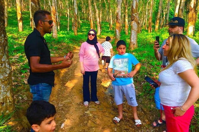 Village Life Tour from Kandy - The Oxen Cart Ride