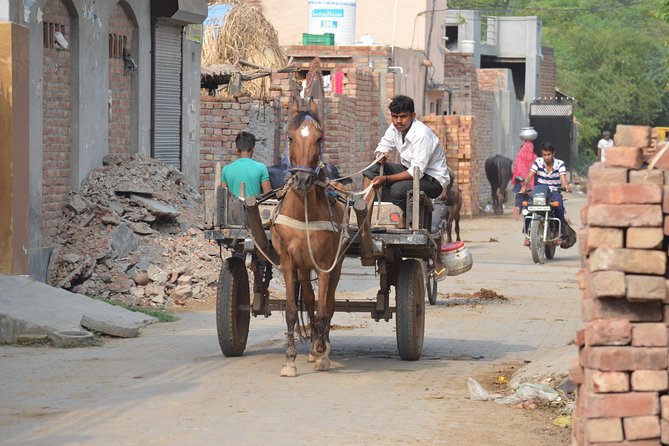 Village Snapshot - Pure and Simple - Overview of the Village Tour