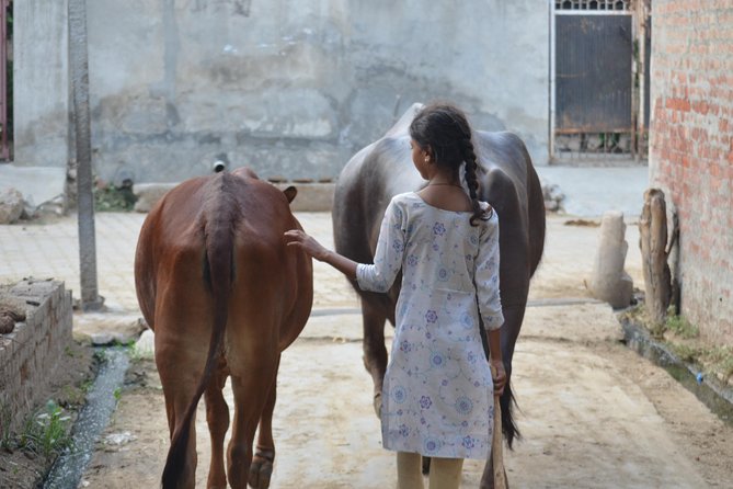 Village Snapshot - Pure and Simple - Transportation and Logistics Details