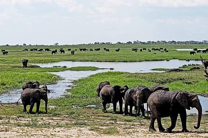 Village Tour Experience (Learn About the Zimbabwe Cultures - Pickup and Meeting Information