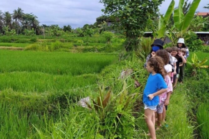 VILLAGE TOUR & RICE FIELDS TREKKING Jambangan Bali - Activity Overview