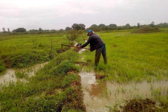Village tour Sigiriya Rock, Pidurangala Rock and Dambulla temple - Who Should Book This Tour?
