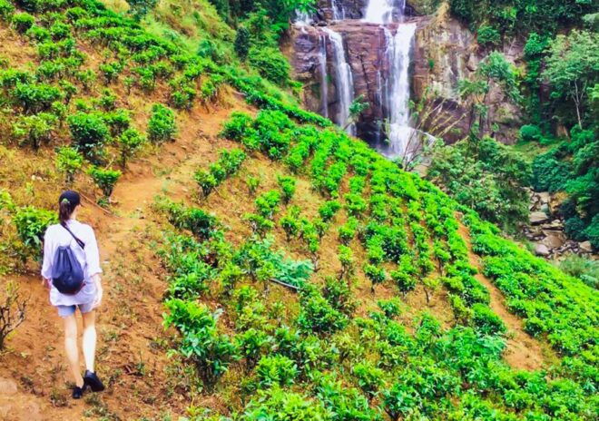 Village Trekking Tour at Ramboda - Tour Itinerary