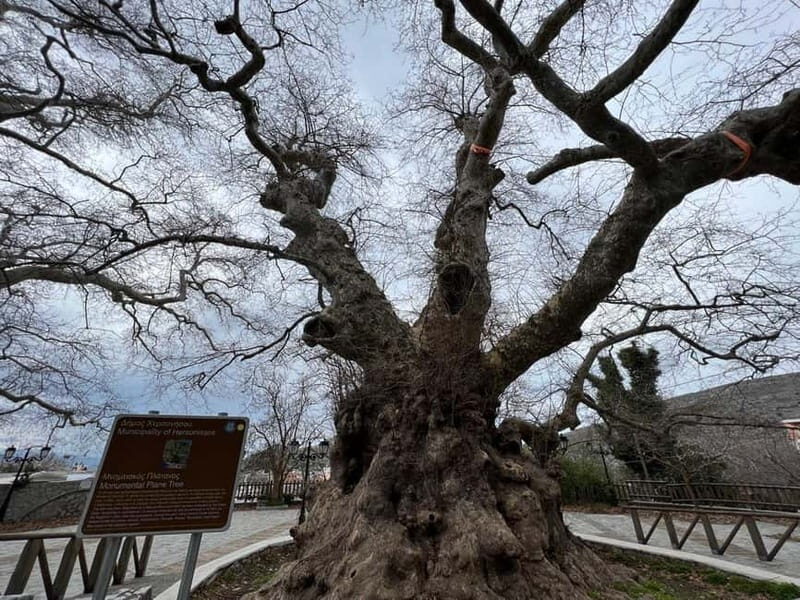 Village Vibes Tour of Heraklion Mainland and Lasithi Plateau - Practicalities & Booking