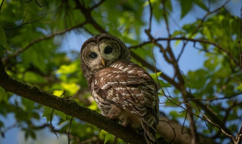 Village, Wild Life & Lake Visit Tour from Hambantota Port - Final Thoughts: Is This Tour Worth It?