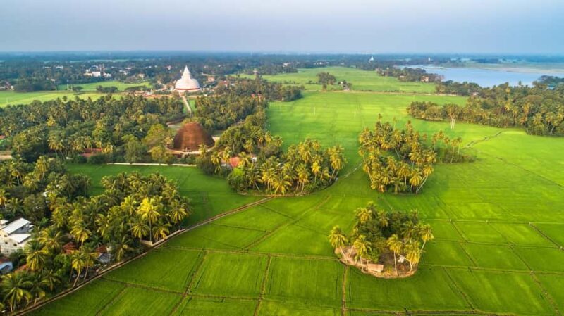 Village, Wildlife & Temple Visit Tour from Hambantota Port - Introduction: What’s in Store