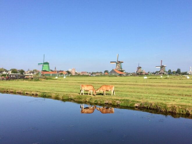 Villages & Windmills Zaanse Schans Small Group Tour - Important Information