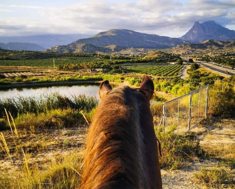 Villajoyosa: Horseback Riding in the Mountains - Good To Know