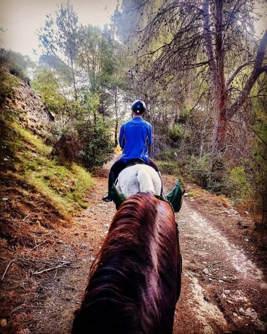 Villajoyosa: Horseback Riding in the Mountains - Practical Details and Planning Tips