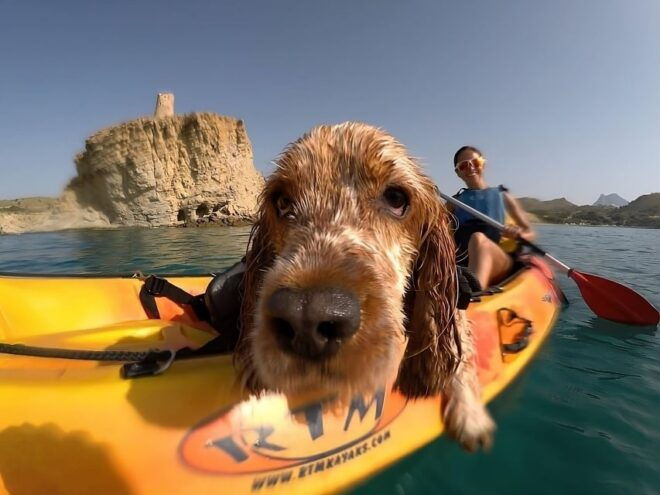 Villajoyosa: Kayaking With the Mans Best Friend, Your Dog - Itinerary