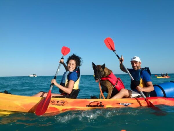 Villajoyosa: Kayaking With the Mans Best Friend, Your Dog - Pet-Friendly Policy