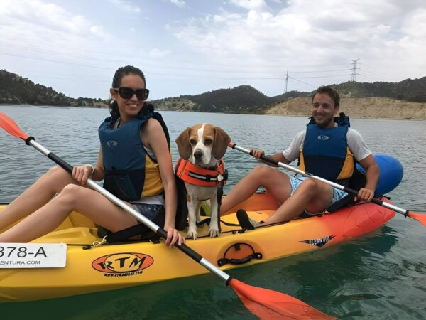 Villajoyosa: Kayaking With the Mans Best Friend, Your Dog - The Sum Up