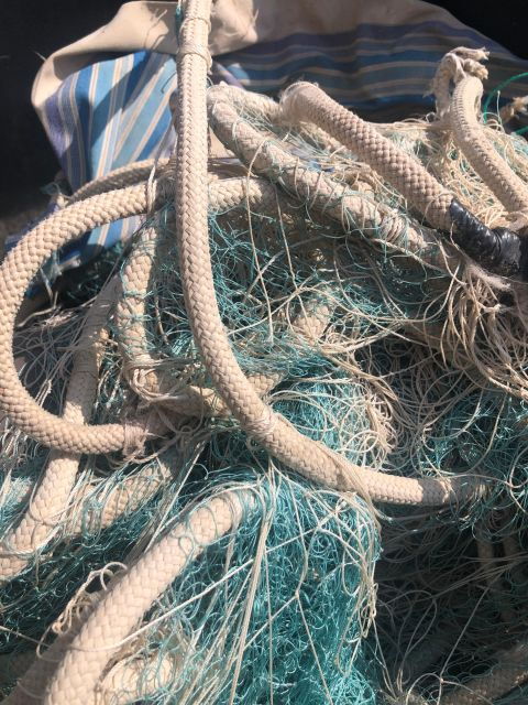 Villajoyosa: Seafood Route and Fish Auction. - Good To Know