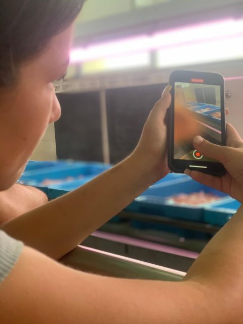 Villajoyosa: Seafood Route and Fish Auction. - Witnessing the Live Fish Auction
