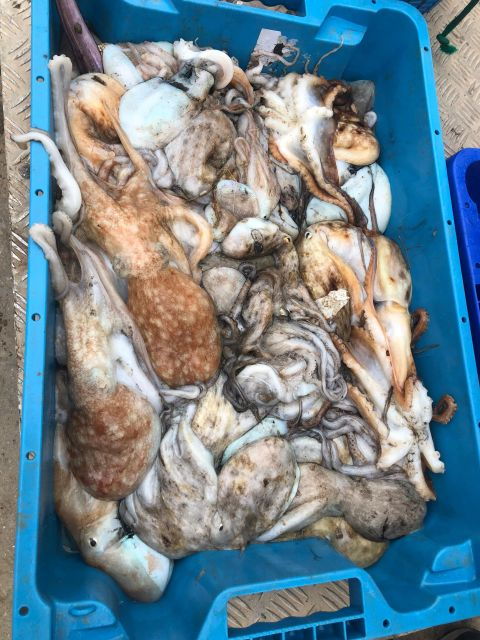 Villajoyosa: Seafood Route and Fish Auction. - Tasting Fresh Seafood and Exploring Local Fishing