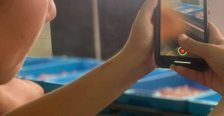 Villajoyosa: Seafood Route, Fish Auction With Tasting - Discover Professional Fishing Techniques