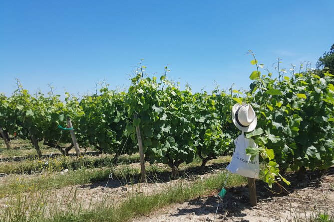 Villandry and Vouvray Full-Day Tour With Wine and Aperitif  - Tours - Fun-Filled Anecdotes Shared Throughout the Tour