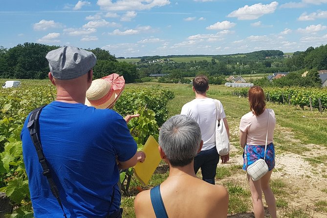 Villandry Castle and Vouvray Small-Group Tour With Aperitif  - Tours - Tour Details