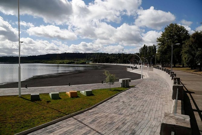 Villarrica / Araucania Airport - Services Offered