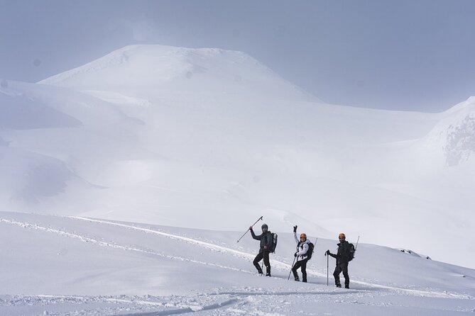 Villarrica Volcano Ascent - Zenit - Activity Overview