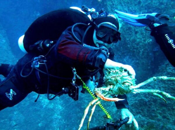 Villasimius: Capo Carbonara 4-Day Open Water Diver Course - Inclusions and Suitability