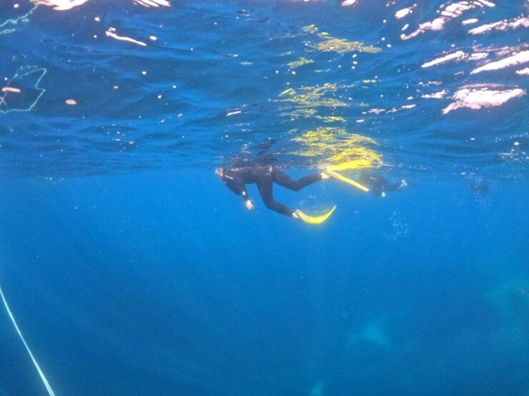 Villasimius: Snorkeling Tour in Capo Carbonara - Experience Highlights
