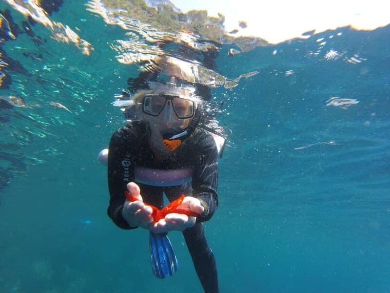 Villefranche-sur-Mer / Nice: snorkeling in privacy on a private boat - Good To Know  