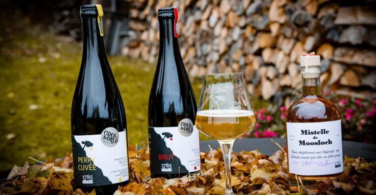 Villingen-Schwenningen: Guided Cider Tasting at the Farm - Booking Details