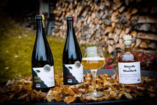Villingen-Schwenningen: Guided Cider Tasting at the Farm - What to Expect