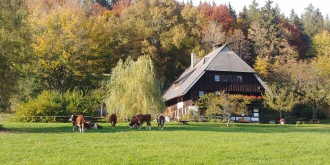 Villingen-Schwenningen: Guided Cider Tasting at the Farm - Group Requirements