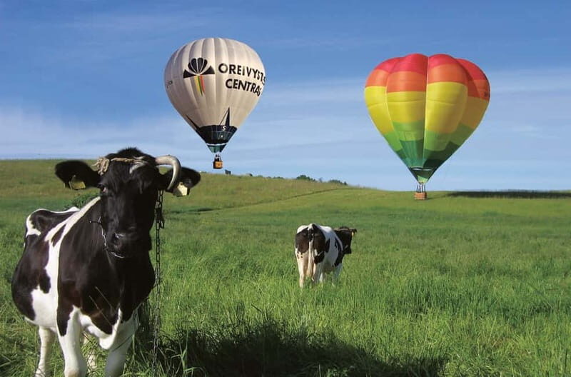 Vilnius or Trakai: Hot Air Balloon Flight - Who Should Consider This Experience?