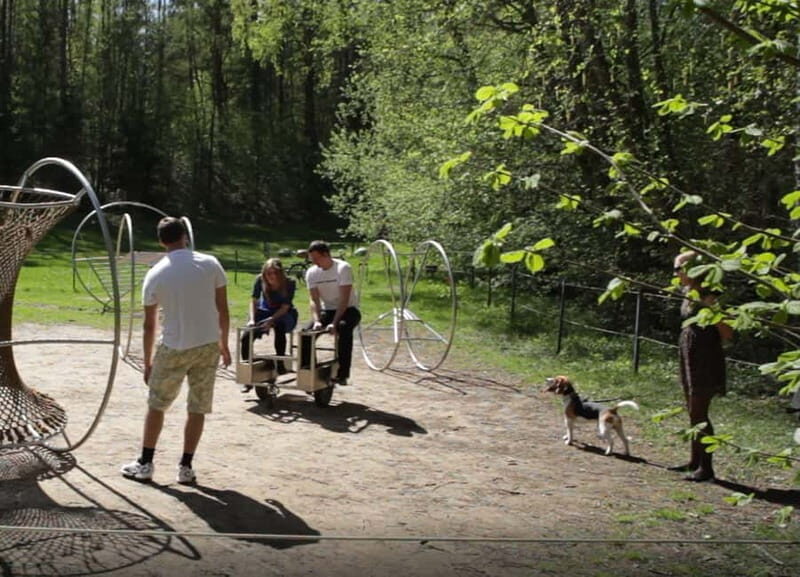 Vilnius: Private Europos Parkas Tour with Entrance Ticket - Discovering Europos Parkas: A Gateway to Artistic Nature in Vilnius