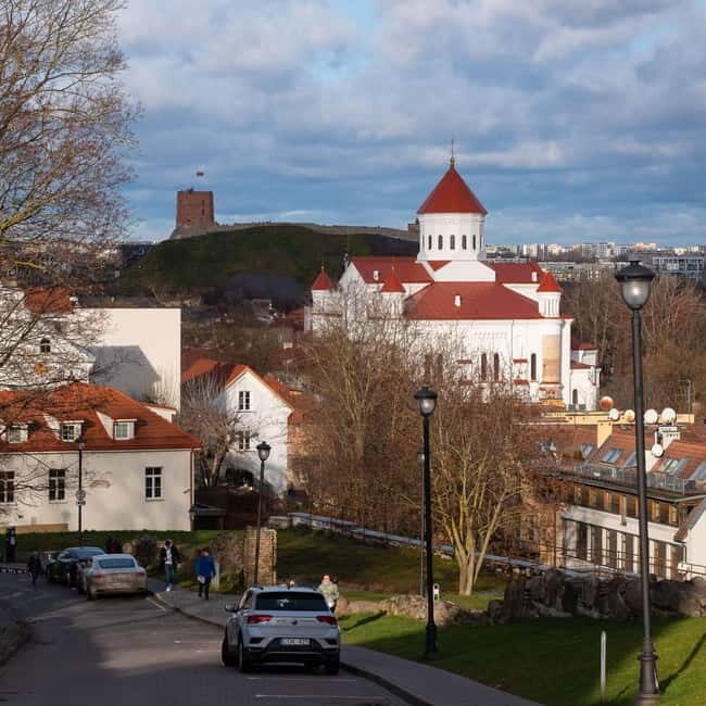 Vilnius: Private Half-Day City Tour by Minivan - Who Will Love This Tour?