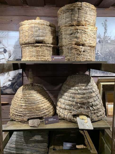 Vilnius to Aukstaitija National Park: Full-Day Tour - An In-Depth Look at the Itinerary and Experience