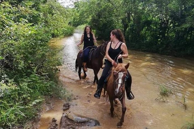 Viñales Horse Tour - Itinerary Details