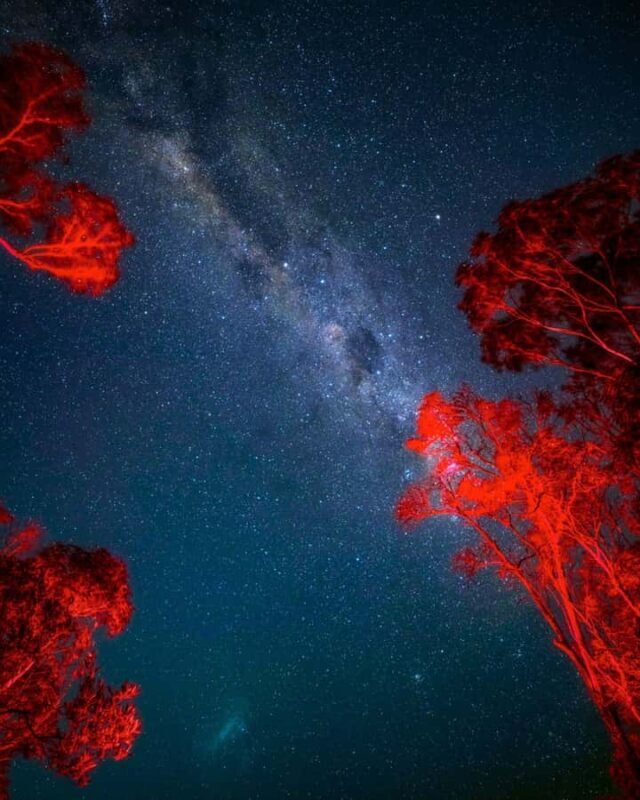 Vincentia: Jervis Bay Beach Stargazing with an Expert - Practical Details and Tips for Your Night Out