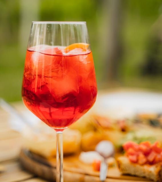 Vinci: Discovering Leonardos Origins & Tasting in Vineyards - Inclusions and Amenities