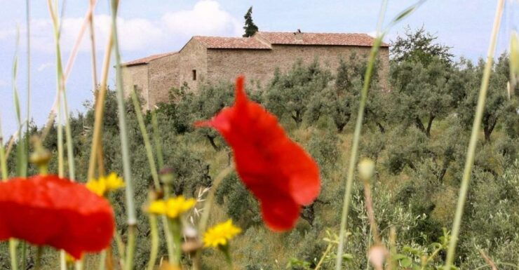 Vinci: Entrance to the Leonardos Birthplace - Ticket Information