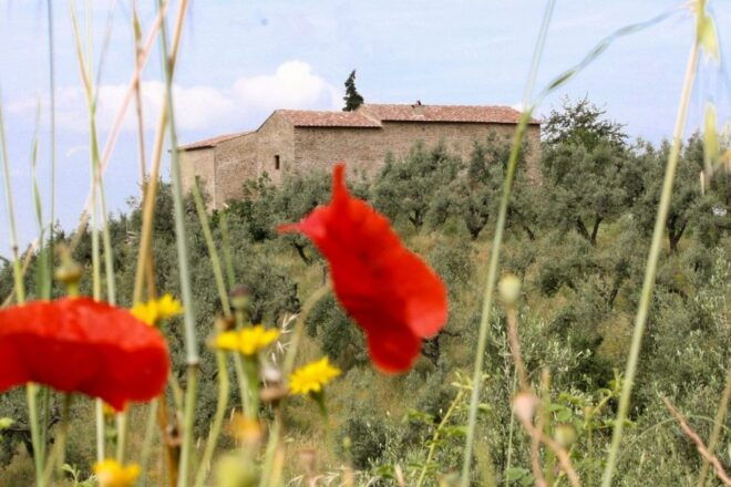 Vinci: Entrance to the Leonardos Birthplace - The Sum Up