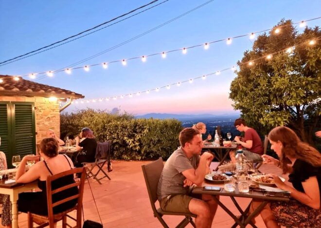 Vinci: Homemade Dinner and Oil Tasting Tour in a Tuscan Farm - Culinary Journey Description