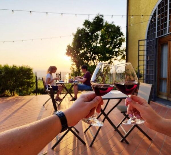 Vinci: Homemade Dinner and Oil Tasting Tour in a Tuscan Farm - Discover the Farms History