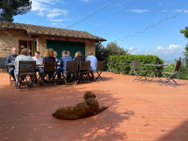 Vinci: Homemade Dinner and Oil Tasting Tour in a Tuscan Farm - Explore the Olive Groves
