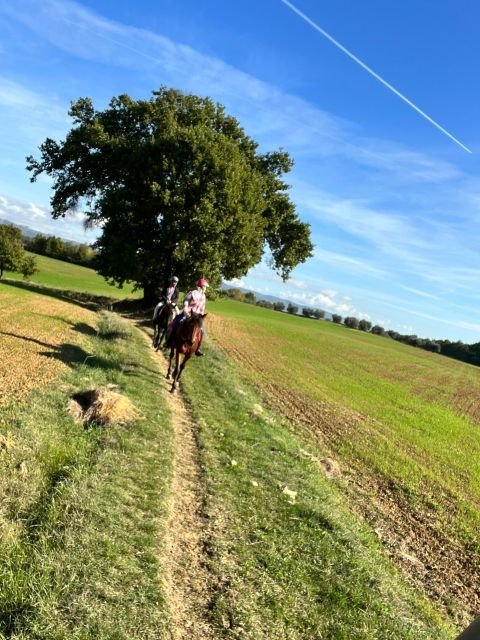 Vinci: Horseback Riding Meditation Experience - Good To Know