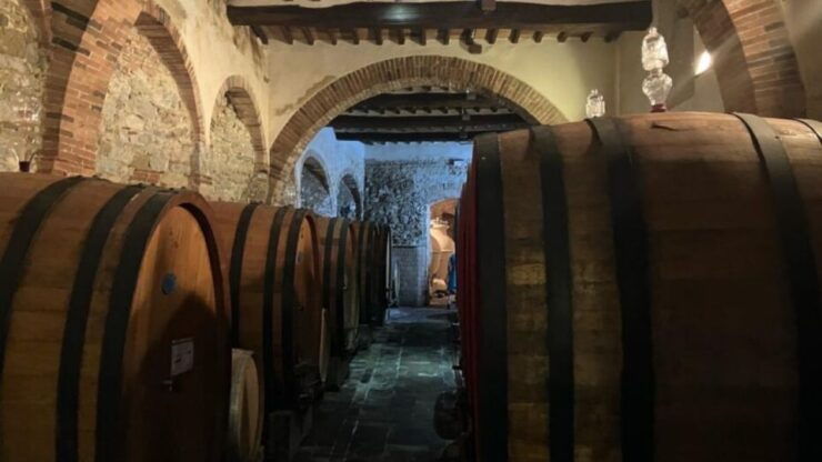 VINCI - LEONARDO'S EBIKE TOUR IN CHIANTI - Good To Know